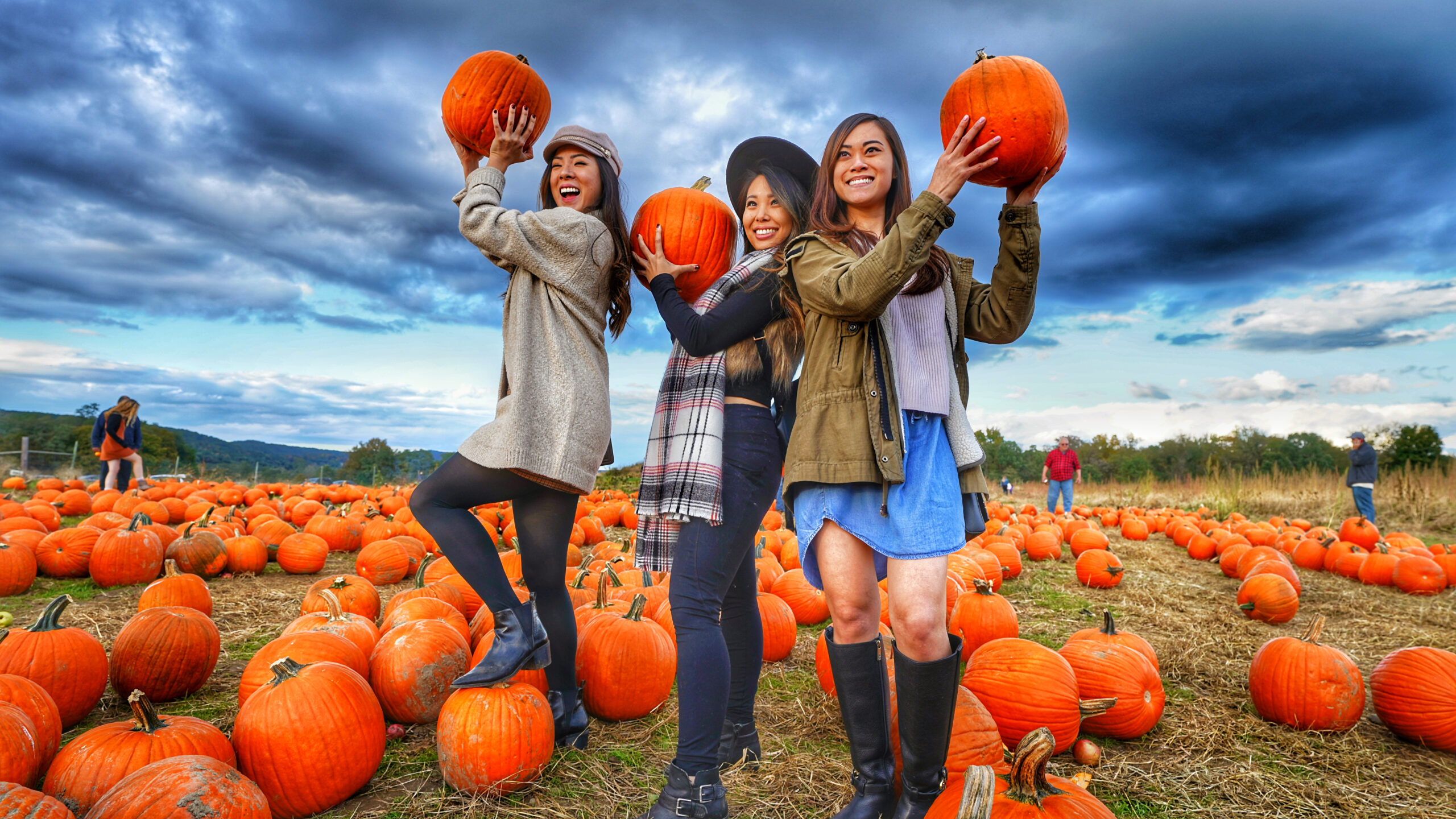 Pumpkin Picking | Media Room | Barton Orchards