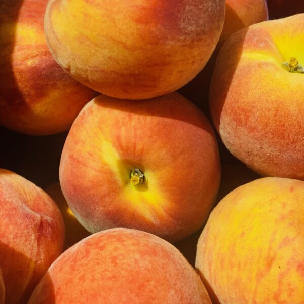 peaches